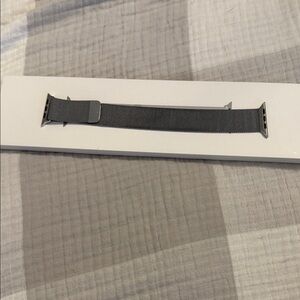 Apple Silver Mesh Watch Band